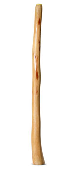 Medium Size Natural Finish Didgeridoo (TW1718)
